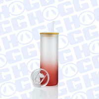 20oz Sublimation Blank Gradient Glass Duo Skinny Tumblers