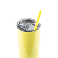 20oz Sublimation Blank Skinny Tumbler - Valentine's Collection