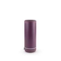 4 in 1 Powder Coated Can Cooler Speaker Case (25 Units) — Sugarplum