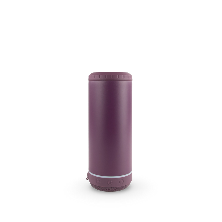 4 in 1 Powder Coated Can Cooler Speaker Case (25 Units) — Sugarplum