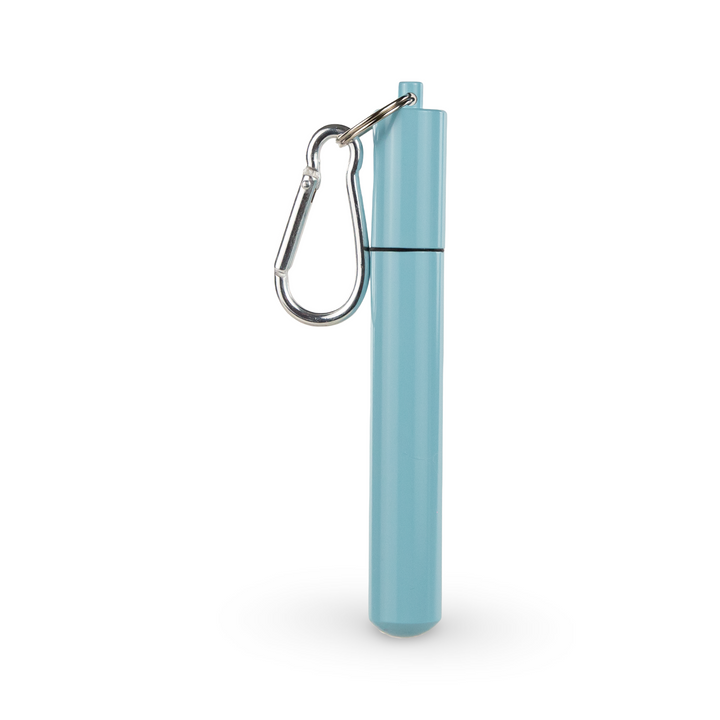 Daydream Club - 11" Portable Straw - product detail | drinkware straw accessory