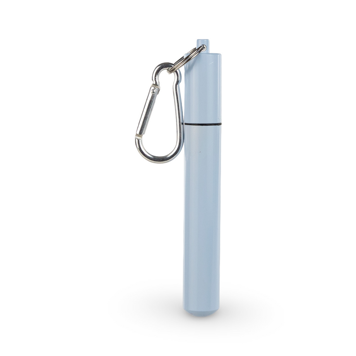 Daydream Club – 11" Portable Straw