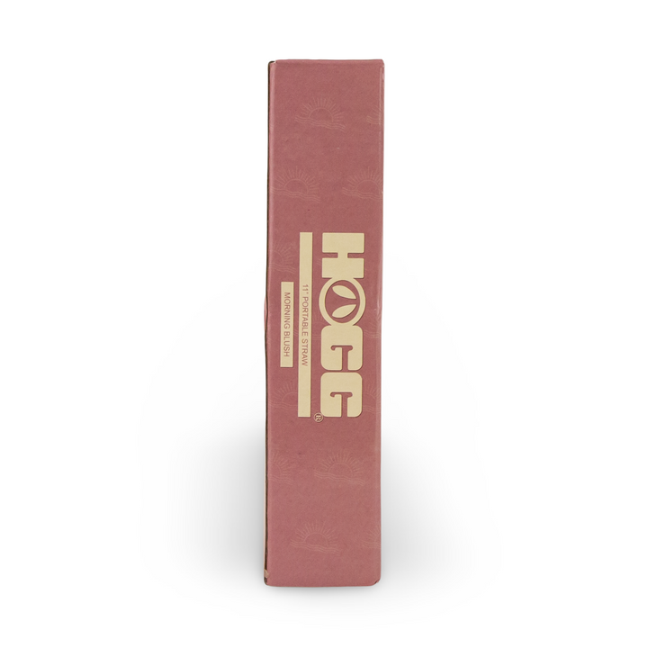 Daydream Club - 11" Portable Straw - size comparison | drinkware straw accessory