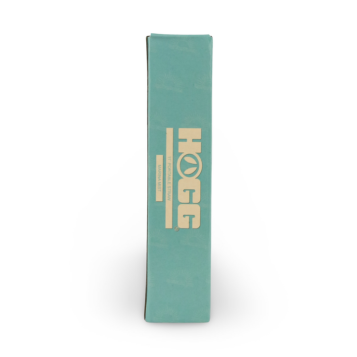 Daydream Club – 11" Portable Straw