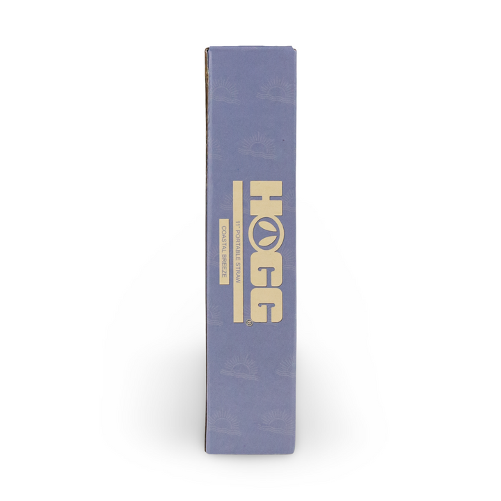 Daydream Club – 11" Portable Straw