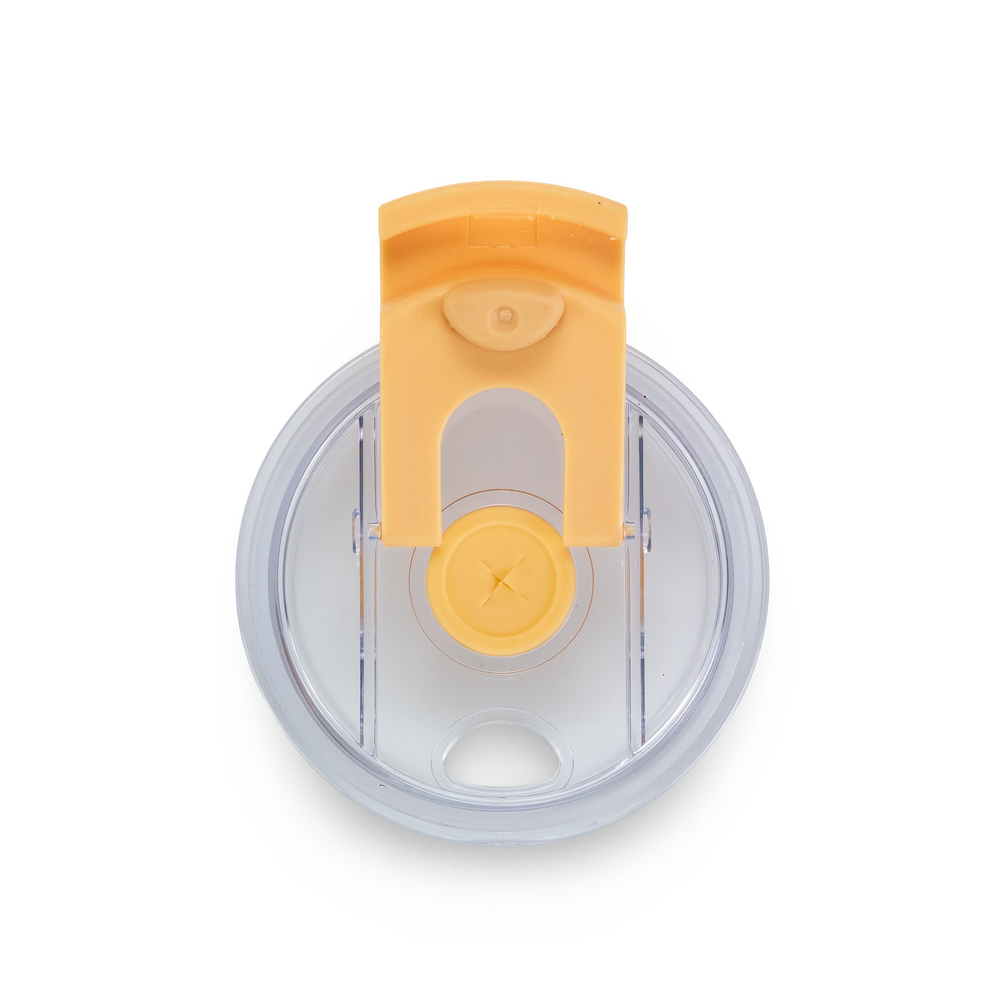 DAYDREAM CLUB - 14oz POWDER COATED LITTLE SWIG TUMBLER CASE (24 UNITS)