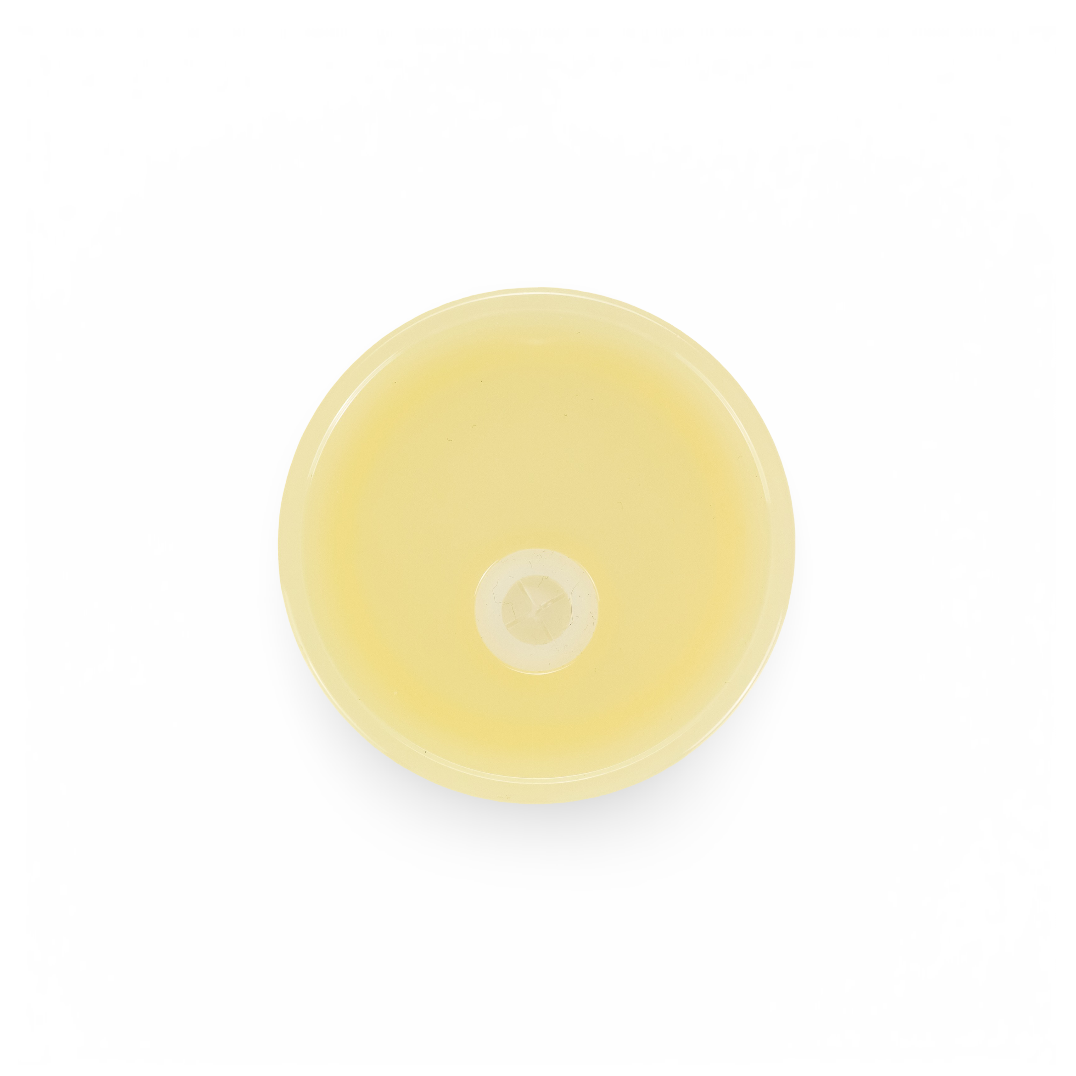 DAYDREAM CLUB - 16oz GLASS CAN TUMBLER CASE (25 UNITS)