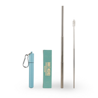 Daydream Club - 11" Portable Straw - side view | drinkware straw accessory