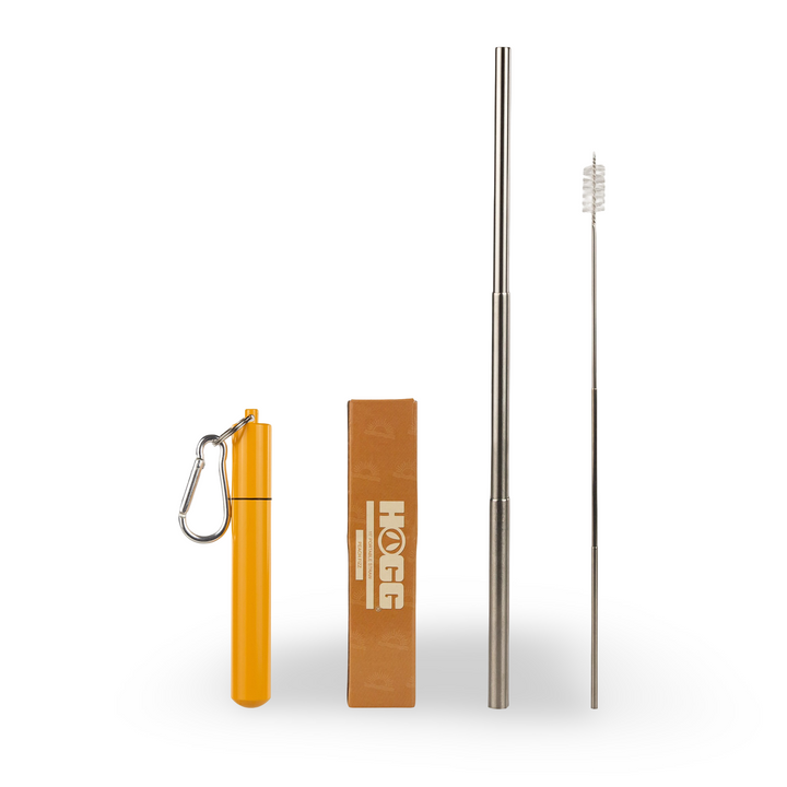 Daydream Club - 11" Portable Straw - front view | drinkware straw accessory