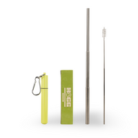 Daydream Club - 11" Portable Straw - close-up | drinkware straw accessory